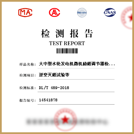 大中型水輪發(fā)電機(jī)微機(jī)勵(lì)磁調(diào)節(jié)器檢測